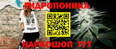 стафф Усть-Илимск