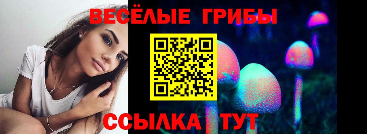 Галлюциногенные грибы Magic Shrooms Нефтекамск